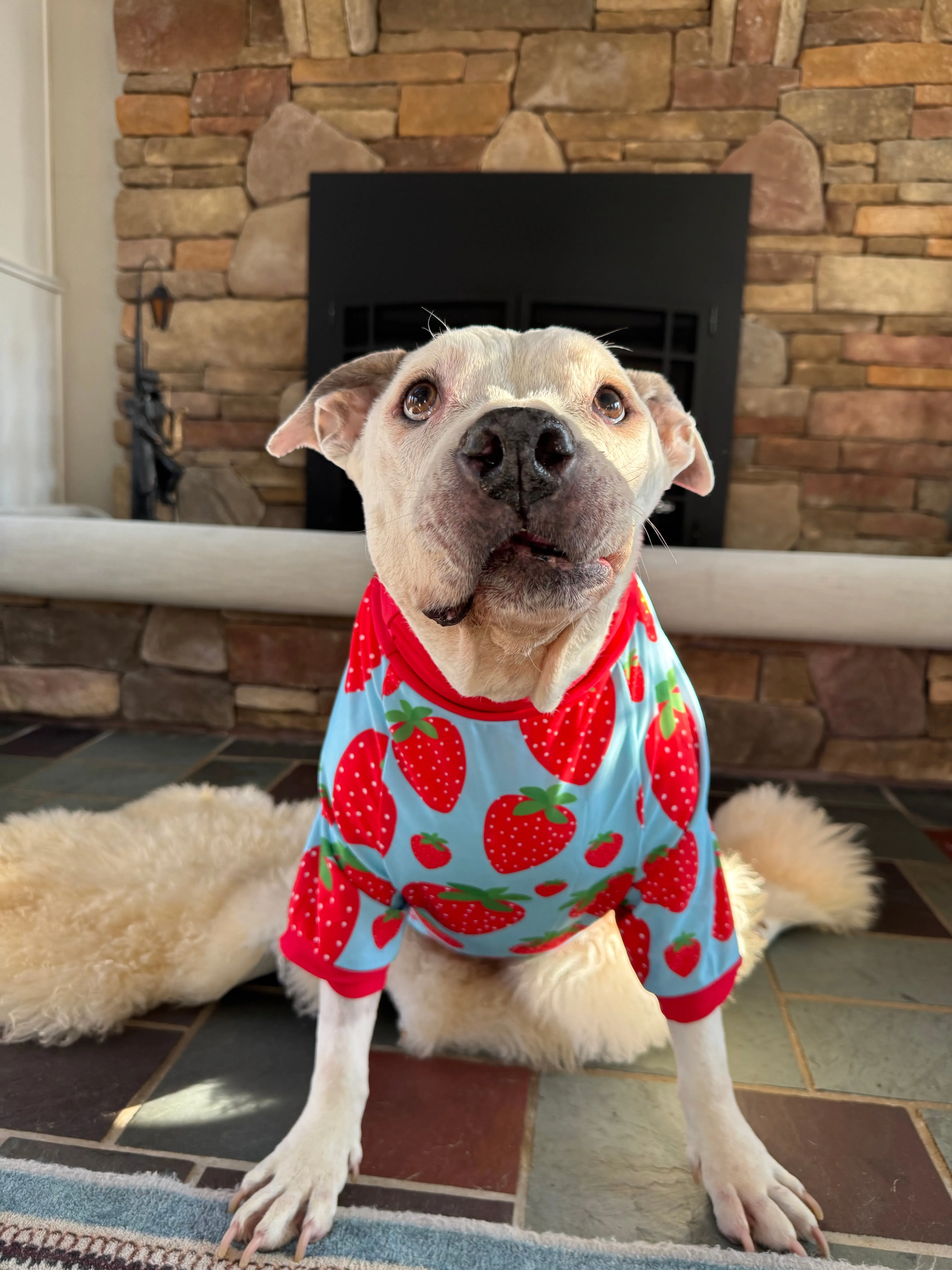 Berry Sweet - Dog Pajama with Red Neck & Trim/Sleeves